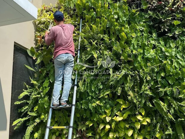 Tukang Vertical Garden Purbalingga - Jasa Taman Vertikal Berpengalaman