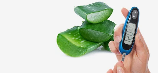 Health Benefits of Aloe Vera Juice for Diabetics