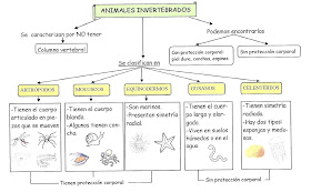 Resultado de imagen de LOS ANIMALES 31 PRIMARIA ESQUEMA