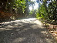 Parque Estadual da Cantareira em São Paulo