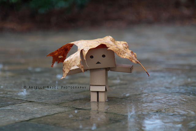 Danbo isn't really new He's a cardboard robot that originally came out in