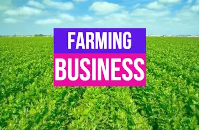 Farming business all information