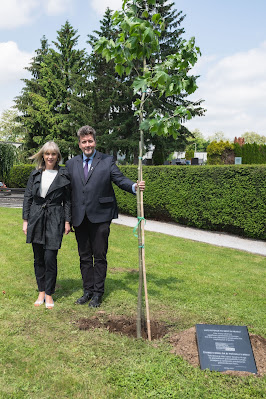 Planting a peace tree at the Pobrežje Cemetery in Maribor.