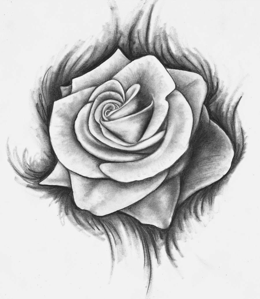 Rose Drawing The All Image