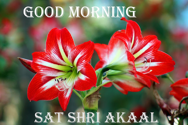  Good Morning Sat Shri Akaal 