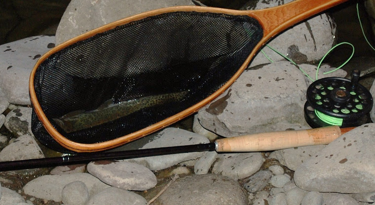 Pocono Trout