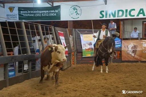 remate_genetica_reunida_expofeiraSG_24-10-2014_003