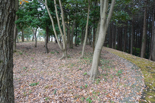 鳥取県西伯郡大山町富岡 むきばんだ史跡公園 弥生の森 遊歩道