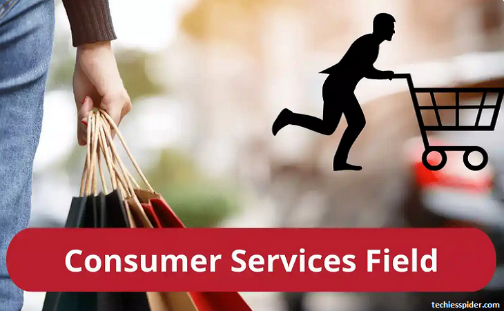 What Companies Are In The Consumer Services Field