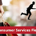 What Companies are in the Consumer Services Field? [Exploring Impact]