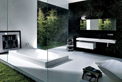 Bathroom Decorating Ideas