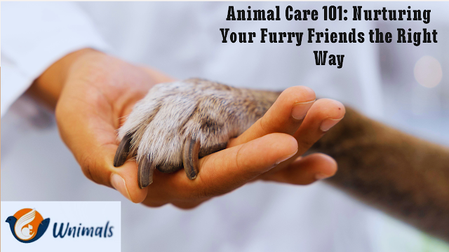 Animal care
