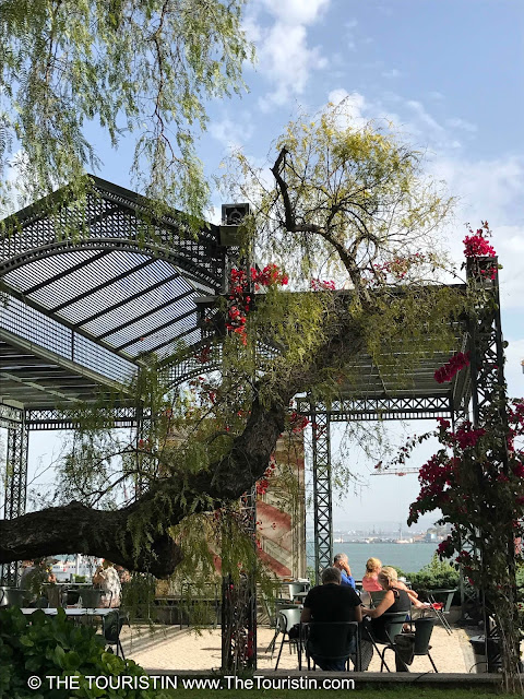 People sitting in a garden café under trees and a pavilion with a harbour in the distance.