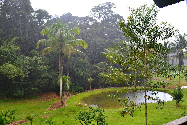 Guyane, auberge des orpailleurs, où dormir