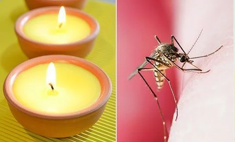 Natural Mosquito Repellent Spray To Avoid Mosquito Bites