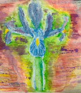 Iris, Acquerello, Misto, Grottesco, Arte Figurativa, Poesia, Poetry, Painting