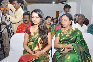 Trisha Saree Pics