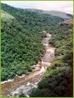 CANYON GUARTELÁ CASTRO PR