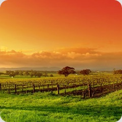 barossa-valley-australia