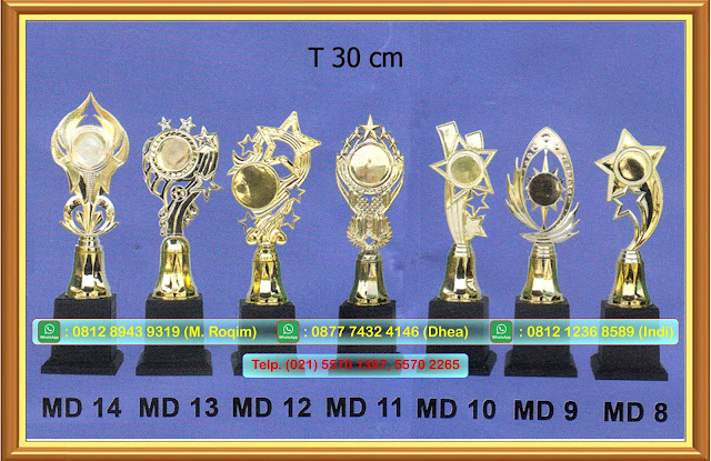 Jual Piala Trophy Murah Surabaya, Grosir Piala Trophy,Grosir Piala Plastik Jual Piala Kecil,Pembuatan Plakat, Piala, Trophy, Vandel, Medali 