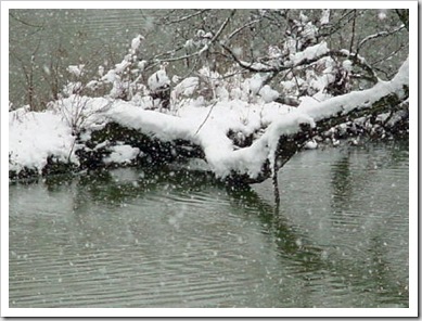 DSC00006