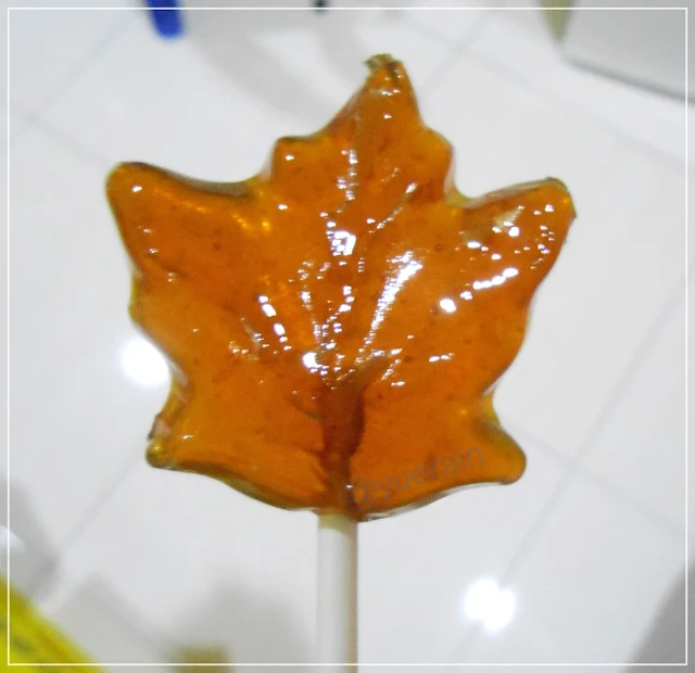 Maple Syrup candy from Vermont