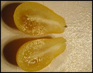 DSCF8646