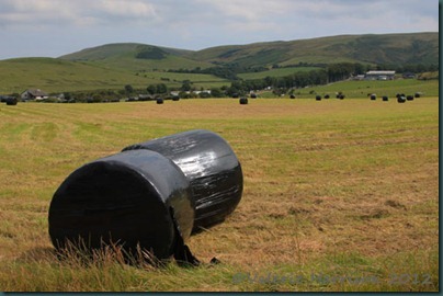 11-bales