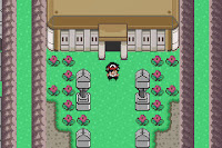 Pokemon Resolute Version Screenshot 07