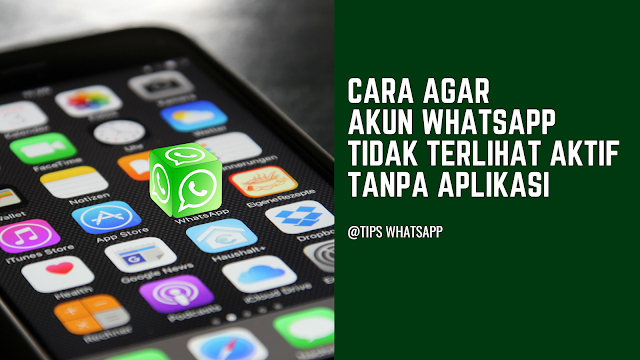 Cara agar akun Whatsapp Tidak Terlihat aktif Tanpa Aplikasi