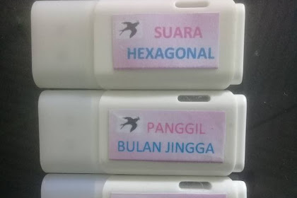 Suara Burung Walet Panggil Tarik Inap Terbaik