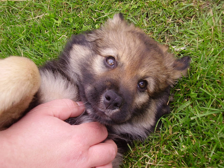 Babybilde :)