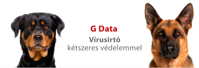  A Microsoft statisztikája szerint 2015 első felében majdnem 3 ezer különböző biztonsági résre derült fény. Az Adobe, az Apple, a Microsoft termékei mind érintettek a kérdésben, de a több millió gépen megtalálható Java is rendszeresen nyit ajtót a bűnözőknek.