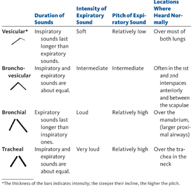 NORMAL BREATHING SOUNDS AND SUPPLEMENT