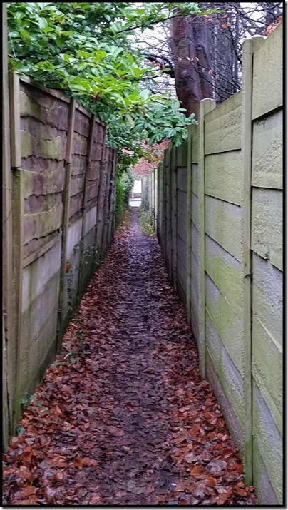 2109ginnel