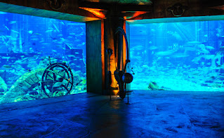 The Lost Chambers Aquarium