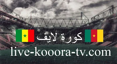 مباراة الكاميرون والسنغال