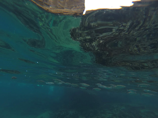 Snorkel en San Bartolomé, Galápagos