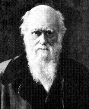 Teori Evolusi Darwin (Teori Seleksi Alam)