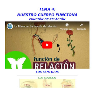 https://recursosdidacticosanacasas.blogspot.com/p/ciencias-de-la-naturaleza-4-primaria.html