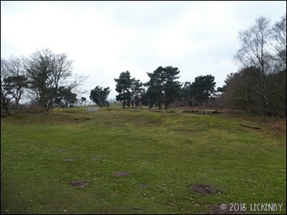 P1240195sm