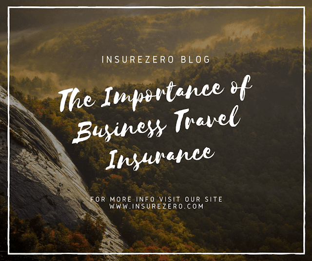 The Importance of Business Travel Insurance