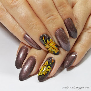 https://snaily-nails.blogspot.com/2017/09/jesien-z-chiodopro.html