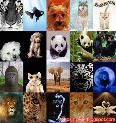 mobile animated wallpapers. Animal Animated Mobile Phone