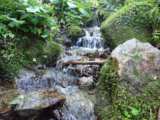 赤兎山・大長山登山　小川