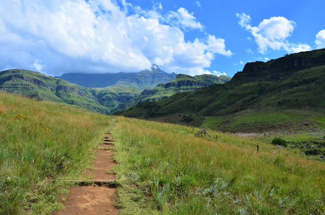 Hiking Inside #GiantsCastle #GameReserve #Drakensberg #SA #PhotoYatra #TheLifesWayCaptures