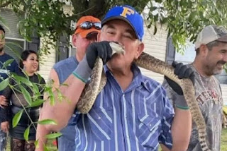 Domador de cobras morre após ser picado por cascavel em evento nos EUA