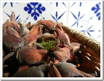 noisettes