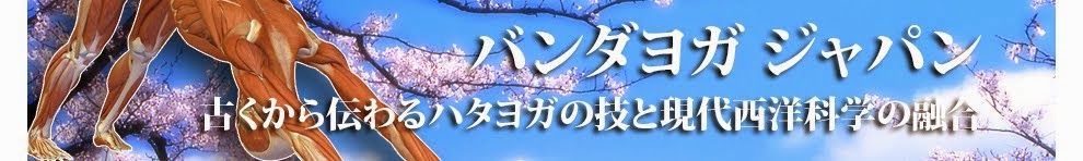 Daily Bandha Japan