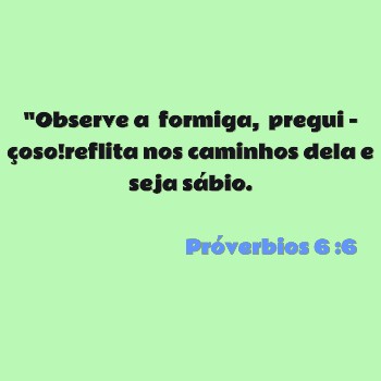 Observe a formiga, preguiçoso! reflita nos caminhos dela 